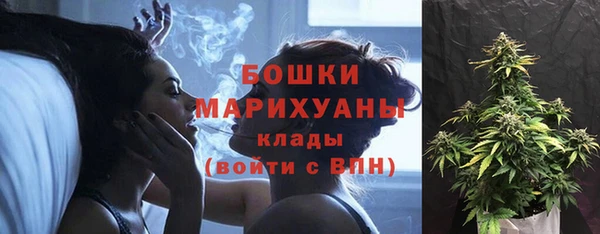 сатива Баксан
