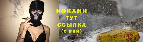 сатива Баксан