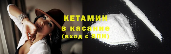 сатива Баксан