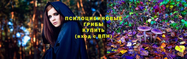 сатива Баксан